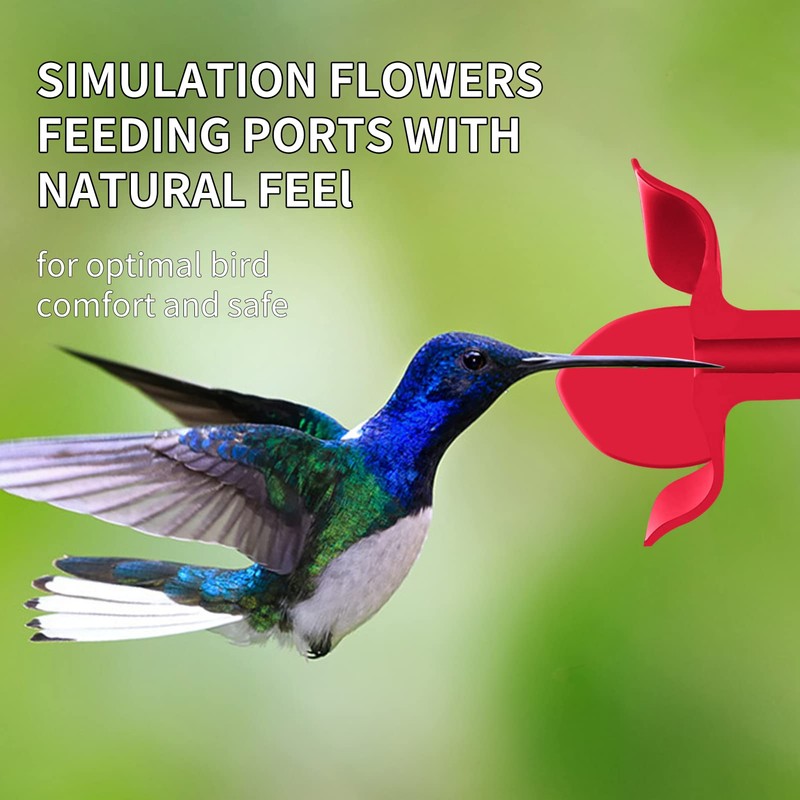 Billion Sky Hummingbird Feeder for Outdoors, Lantern Shaped Bottle, 6