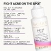 Dry It Out Acne Gel Spot Treatment by Pacifica for