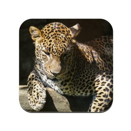 Untersetzer aus Kork – Leopard ruht auf einem Zweig Wildlife – 1 Stück (95 x 95 mm)