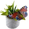 BWG Garden Clip On Butterflies - Plastic 13cm Wing (Set