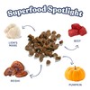healthybud Mini Dog Training Treats Beef 3 PCK