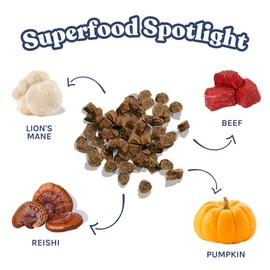 healthybud Mini Dog Training Treats Beef 3 PCK