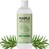 Maple Holistics Tea Tree Oil Conditioner + Color Safe Dandruff