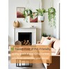 Bouqlife Hanging Planters with Macrame Plant Hangers for Indoor Outdoor