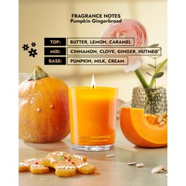 96NORTH | Pure Pumpkin Gingerbread Candle | 100% Natural Soy Wax | 1-Wick Jar Candle | Natural Fragrance Technology | Non Toxic | Up to 35 Hours Burning Time | Aromatherapy Gift for Men and Women
