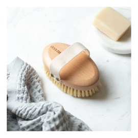 Ever Eco Dry Body Brush, 1 Item