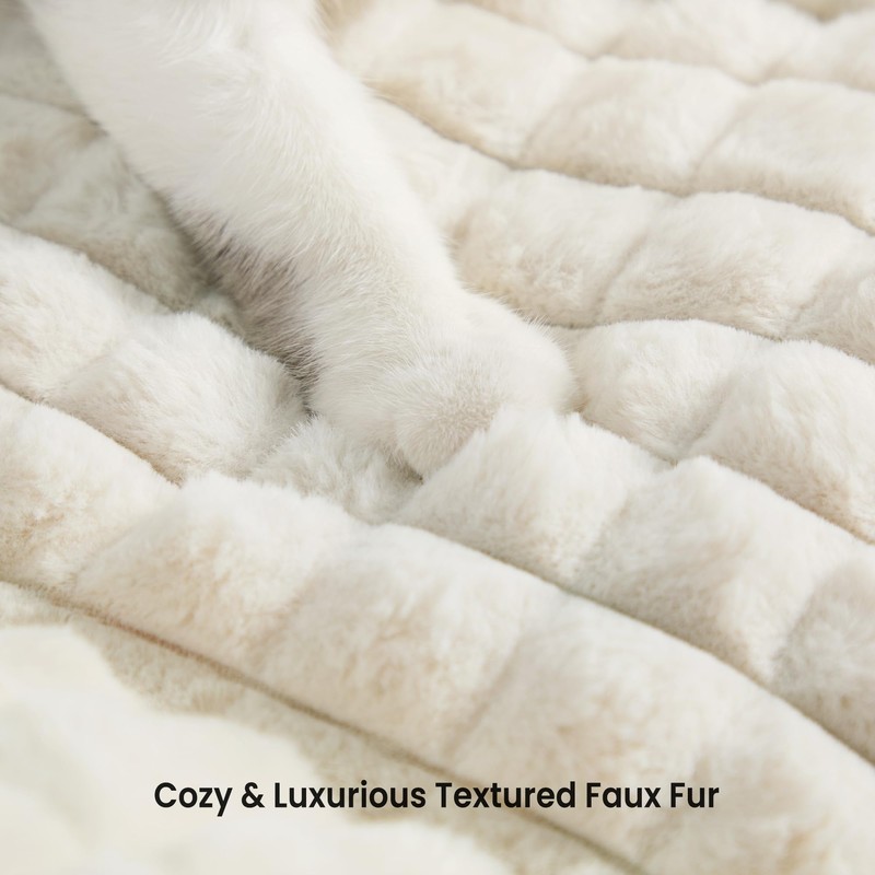 blunique Cat Beds for Indoor Cats - Cute Cat Couch