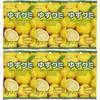 Kasugai Yuzu Gummy Candy 3.59oz (6 Pack)