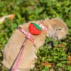 ORZECHKO Rabbit Harness and Leash - Adjustable Bunny Harness Escape