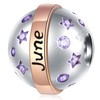 CRISNATA Jan-Dec Birthstone Round Ball Charms with 12 Month Birthday