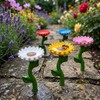 5 Set Bee Watering Station Insect Drinking Cups for Garden