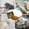Cat Scratch Pad,Scratcher with Catnip,Scratching Posts,Cat Toy Scratching Board Lounge
