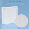2 Pack AH300 True HEPA Air Filter Replacement Compatible with