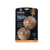 Starmark Everlasting Dog Treat (2 Treats)