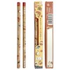 [Plus] Pentagonal Pencils, Set of 2, Supports Test Student Passing