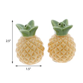 Novelty Salt and Pepper Shaker Set for the Kitchen Collector - Pineapple