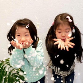 SPICE OF LIFE PC1-WM Confetti KNOT&BOW White Metallic L Size 50g Party Wedding