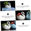 CIYODO Succulent Flowerpot Ceramic Pots Drainage Swan Shaped Planter for