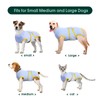 Kuoser Recovery Suit for Dogs Cats After Surgery, Professional Pet