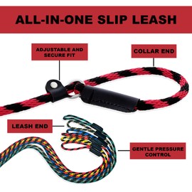 Slip Lead Dog Leash Made in The USA | All in One No Pull Dog Leash and Collar with Adjustable Loop | 3/8” Thick for Small Dogs 6 FT (Red)