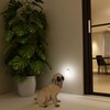 Lyridz Night Light with Motion Sensor, Dimmable Cool White Bright