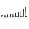 Screw Screw with Nut, 300 Pieces Black Alloy Steel 12.9