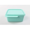 Tupperware Fridge 500 ml Mint Cool Corner Fresh Master Christmas