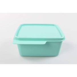 Tupperware Fridge 500 ml Mint Cool Corner Fresh Master Christmas Corner