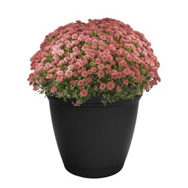 The HC Companies ECA12000DE21016LRCKC Eclipse Round Plastic Planter, 12", Slate Blue