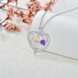 NFYBD Heart Stethoscope Pendant Necklace for Women 925 Sterling Silver Gemstone Birthstone Doctor Nurse Day Medical Jewelry RN Registered Graduation Retirement Gifts, Metal, Amethyst