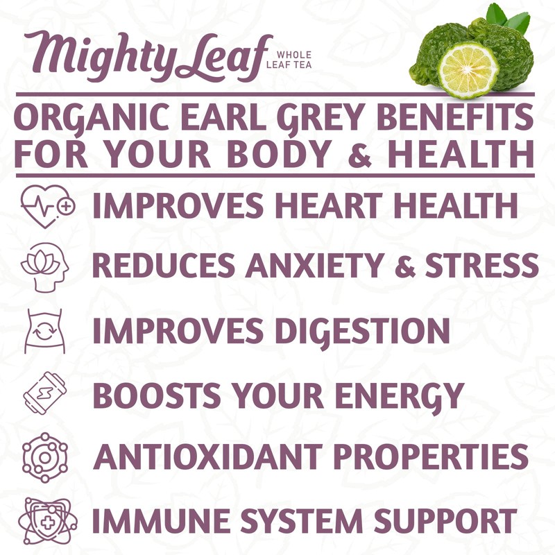 Mighty Leaf Organic Earl Grey Tea, 100 Tea Pouches