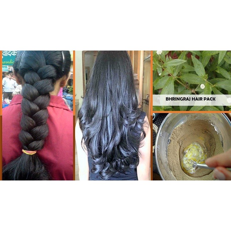 Online Quality Store raw bringaraj/bringraj dry leaves/Bhringraj Leaves/Bhangra - Eclipta