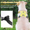 LIOPARD Dog Harness, Easy Walk Pet Harness No Pull with