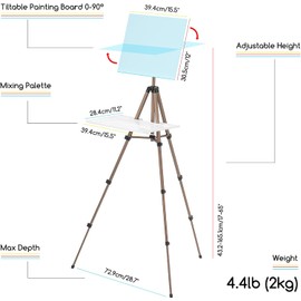 MEEDEN Plein Air Easel for Painting: Adjustable Travel Watercolor Easel Stand for Adults- Collapsible Portable Tripod for Artists
