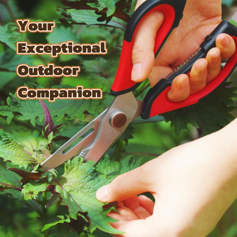 Flioriel 2-Pack Heavy Duty Kitchen Shears - Ultra Sharp All