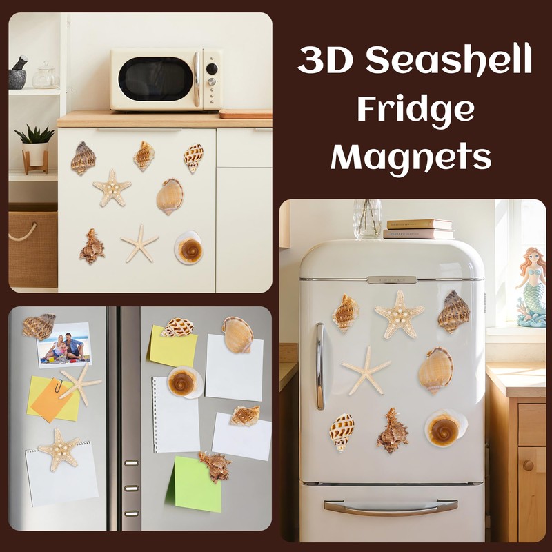 Natural Seashell Fridge Magnets 8PCS, Starfish Shell Refrigerator Magnets