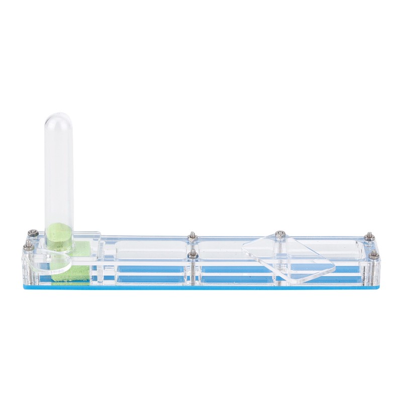 Acrylic Ant Breeding House Nest Formicarium Display Box with Water