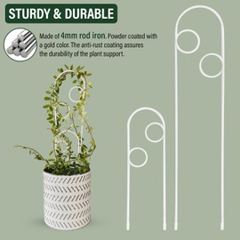 Metal Plant Support Stake for Indoor Climbing Plants, Pothos, Monstera, Philodendron and Vines, Plant Decor Accessories - Size: 17.75" x 3.75" & 10" x 3" (Whirl, White)