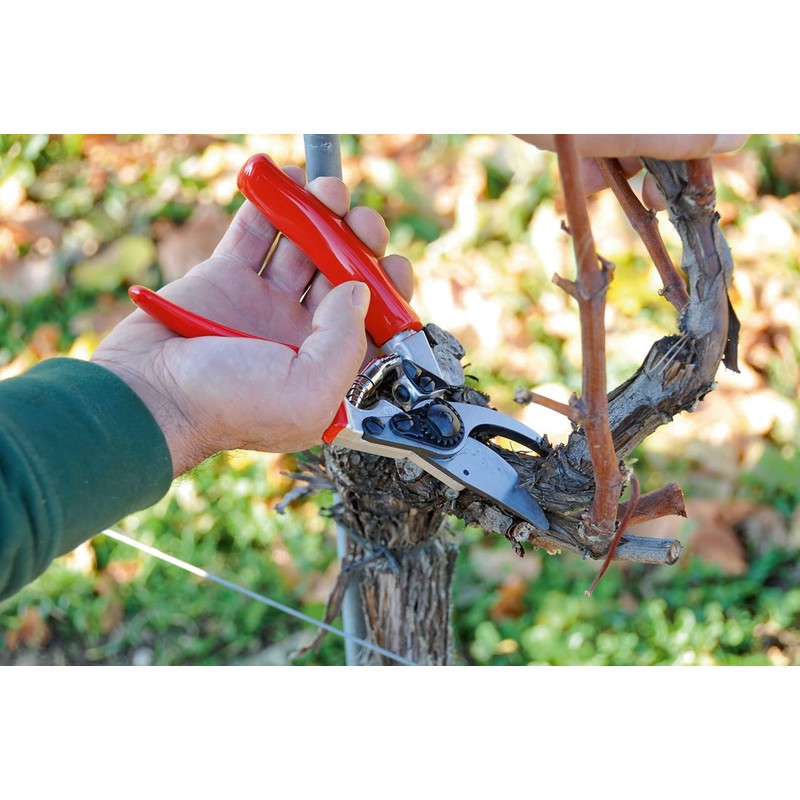 felco 8 classic (felco #8)