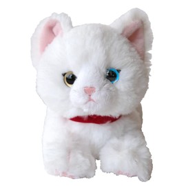 San Lemon Knee Cat SS Odd-Eye WH P-8042