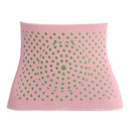 YAPKOLV Back Warmer Waist Warmer Kidney Warmer Thermal Kidney Belt Belly Bands Protector Belt Abdominal Warmer Heat Belt Body Warmer Heat Protection for Women Men Children (Pink)