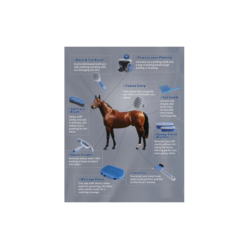 Kit De Aseo Para Caballos 9 Piezas Con Bolsa Organizadora
