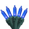 Holiday Time 50 Count Blue Mini LED Lights on Green
