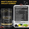 Shilajit Gummies, Pure Himalayan Shilajit Gummies Gold, No Added Sugar