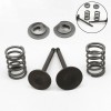 For Honda 1 Set Valve Springs For Honda GX160 GX200