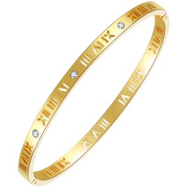 HIQUACC Women's Stainless Steel Bracelet 18K Gold Plated Bracelet Crystal Cubic Zirconia Bracelet Titanium Steel Bangle (Hollow Gold)