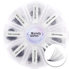 Premade Volume Fan for Eyelash Extension: 500 Handmade Fans, Loose Lash, Wend Lashes, SM-Black-500-12P-D-9-16mm-0207