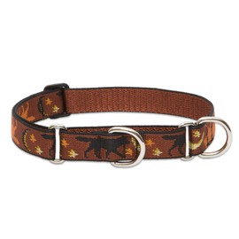 LupinePet Originals 1" Shadow Hunter 19-27" Martingale Collar for Large Dogs