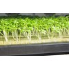 T Co-Lab Professional Grow Mat (Rock Wool) 23mm x 23mm