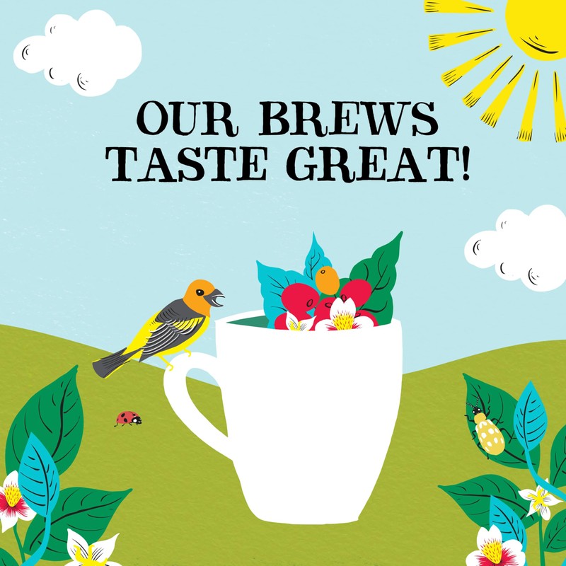 Clipper Latin American Decaf Organic Instant Coffee, 100g